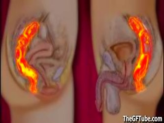 How To Make Girls Cum - Instructional