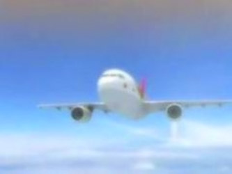 Tarra White Anal Airplane Fuck !
