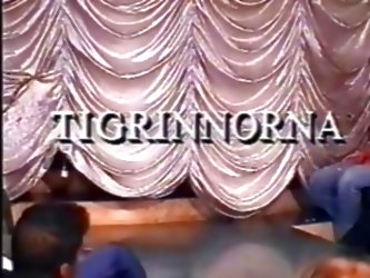 Swedish Group Sex -tigrinnorna